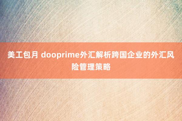 美工包月 dooprime外汇解析跨国企业的外汇风险管理策略