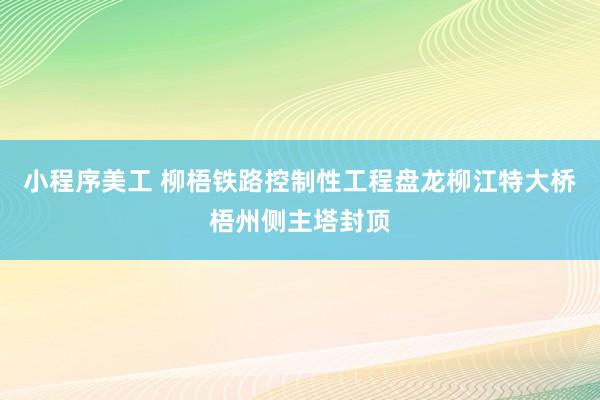 小程序美工 柳梧铁路控制性工程盘龙柳江特大桥梧州侧主塔封顶